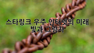 스타링크: 우주 인터넷의 미래, 빛과 그림자