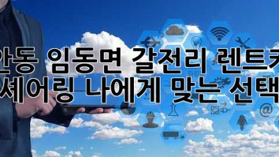 안동 임동면 갈전리 렌트카? 카셰어링? 나에게 맞는 선택은?