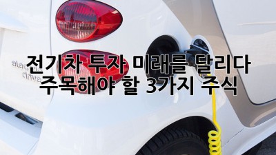 전기차 투자, 미래를 달리다: 주목해야 할 3가지 주식